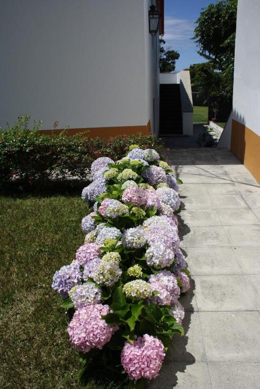Quinta De Sao Caetano - Sao Miguel Acores Populo  Стая снимка